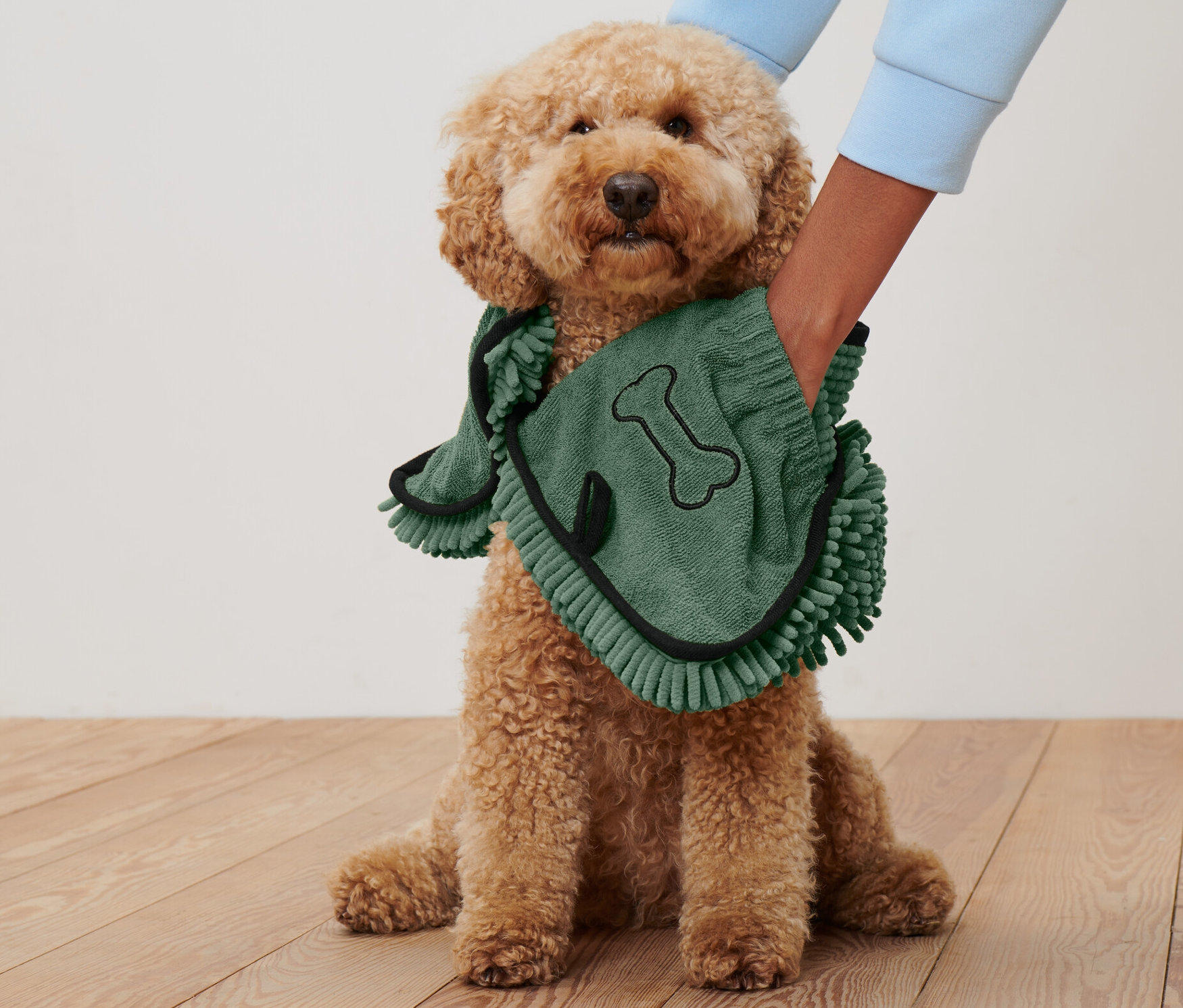 Pudel sitzt, während er mit einem grünen Hundehandtuch mit Eingriffen abgetrocknet wird.