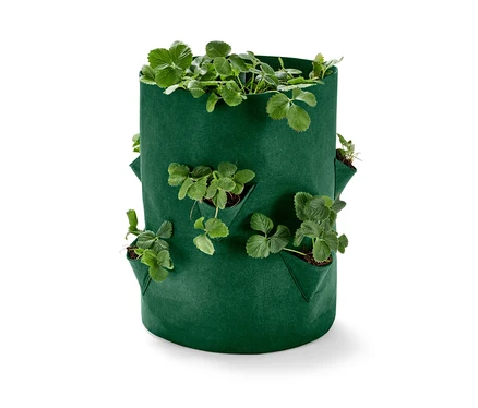 Grüne Erdbeeren-Pflanztasche mit Pflanzen.