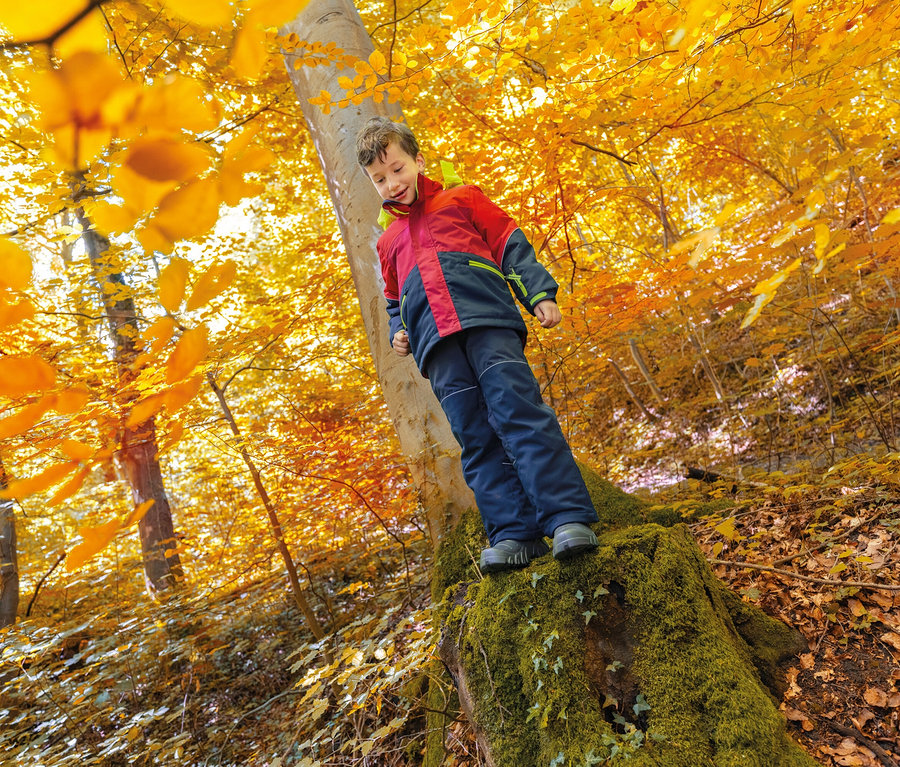 Junge steht auf einem Baumstumpf im Herbstwald mit gelbem Laub.