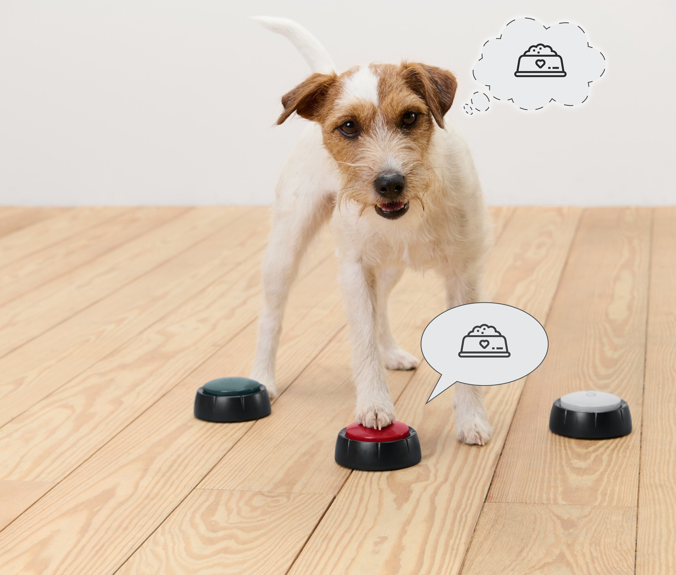 Jack Russell Terrier steht auf einem Holzboden und drückt mit der Pfote einen roten Knopf. Weitere Knöpfe sind grün und grau. In Gedankenblasen über dem Hund befindet sich ein Futternapf-Symbol.