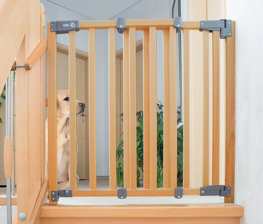 Ein heller Hund sitzt hinter einem roba Treppenschutzgitter »Safety Up« aus Holz, das oben an einer Holztreppe angebracht ist.