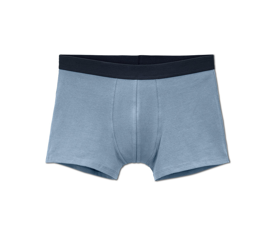 Ein einzelner blauer 5 Slipboxer.