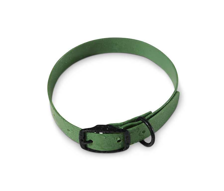Ein grünes Hunde-Halsband liegt auf einem weißen Hintergrund.
