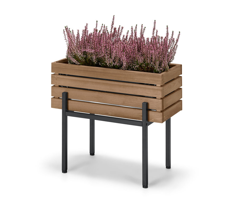 Pflanzkasten »Elin« mit blühenden Heidekraut auf weißem Hintergrund.