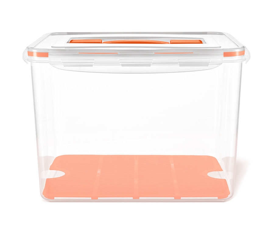 Leere, transparente Frischhaltedose mit hellorangefarbenem Boden und Deckel.