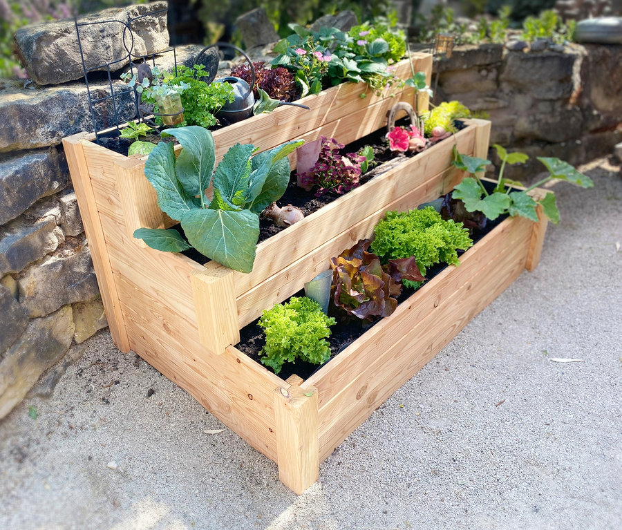 Ein dreistufiges Premium-Treppenhochbeet XL aus Holz mit verschiedenen Pflanzen.