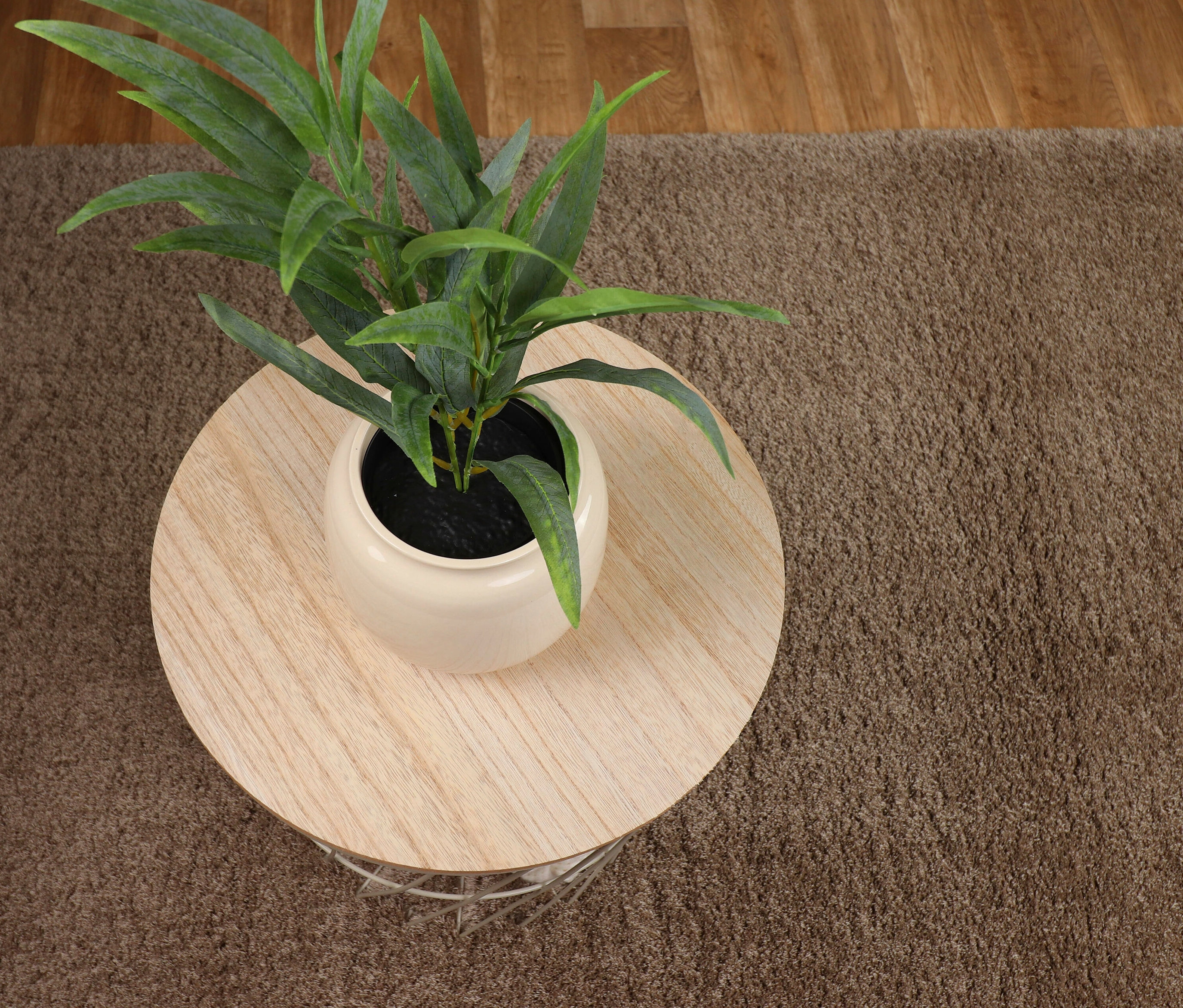 Draufsicht auf einen beigen Teppich »Pleasure« und einen kleinen Tisch mit einer Pflanze.