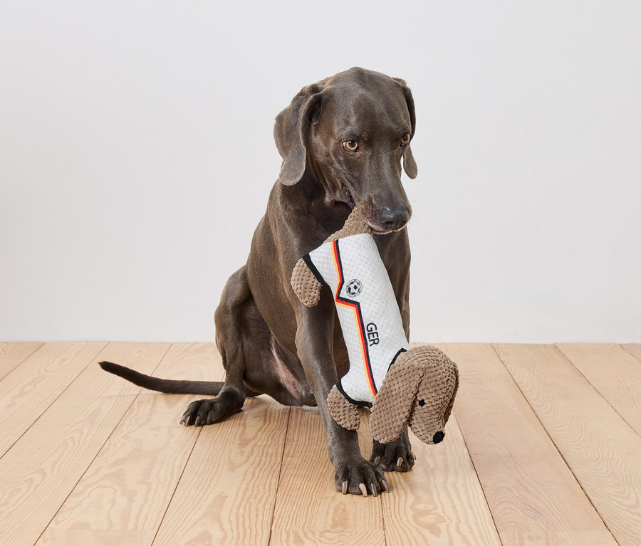 Ein grauer Hund sitzt auf einem Holzboden und hält ein Spielzeug in Form eines Dackels im Maul, das ein Trikot mit der Aufschrift "GER" trägt.