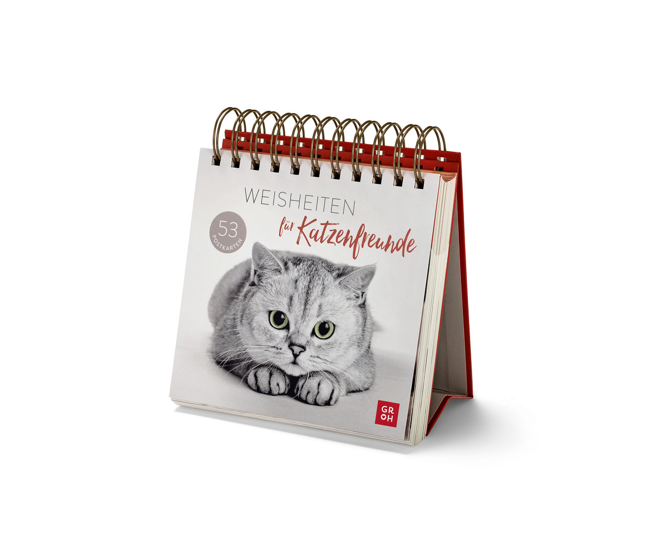 Aufsteller »Weisheiten für Katzenfreunde« mit dem Bild einer grauen Katze.