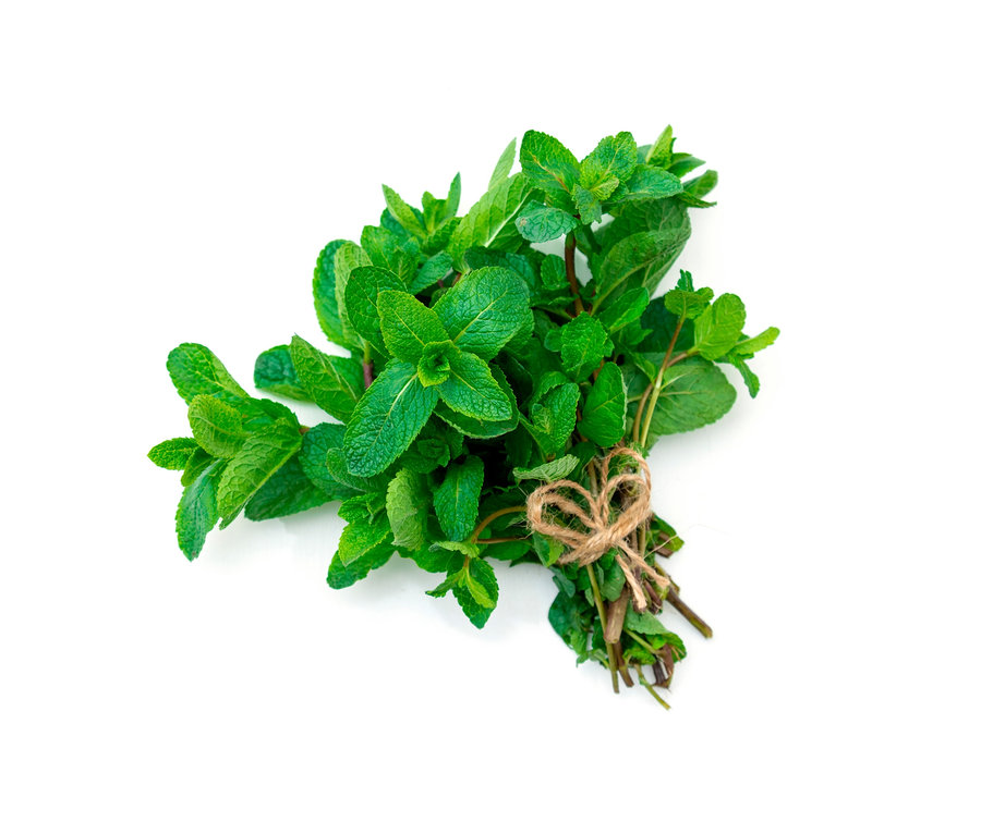 Ein Bund 8 Kräuterklassiker, mit Juteband in Herzform gebunden, liegt auf einem weißen Hintergrund.