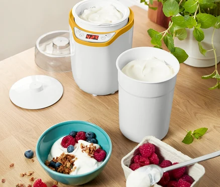 Auf einem Holztisch stehen ein Joghurtbereiter, eine Schüssel Joghurt mit Früchten und ein Behälter mit Himbeeren.