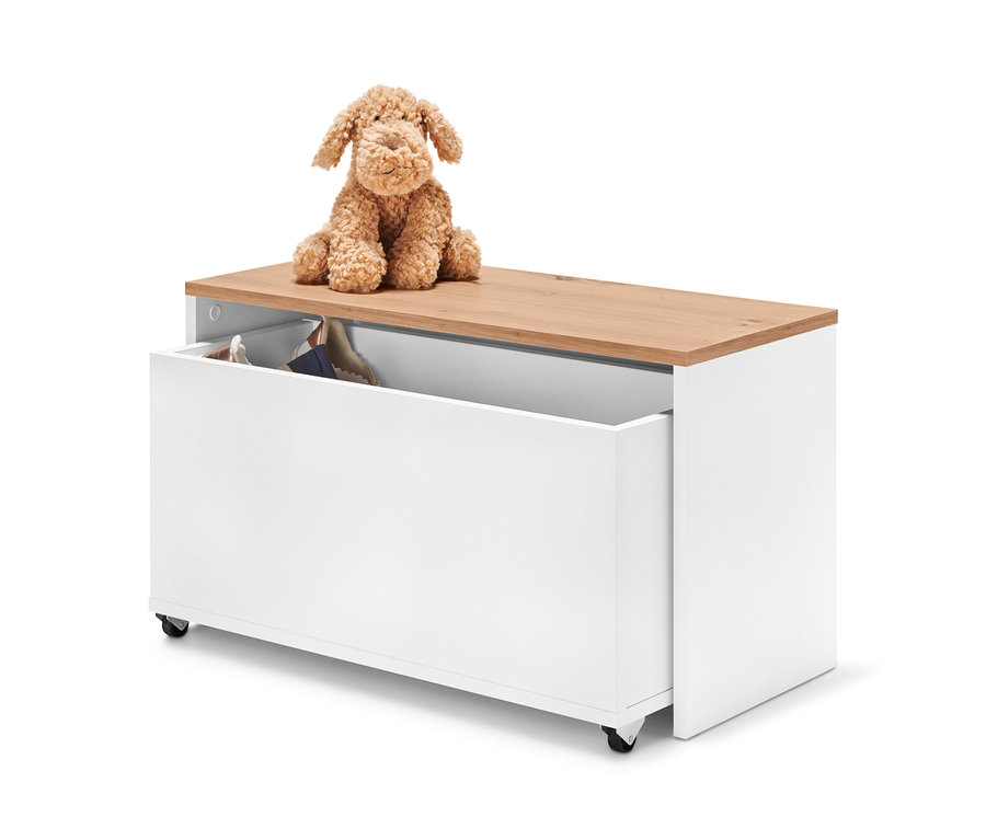 Ein Plüschhund sitzt auf einer Sitzbank mit Stauraum-Box.