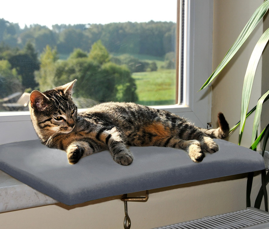 Eine Katze liegt auf einer grauen Katzen-Fensterliege aus Samt.