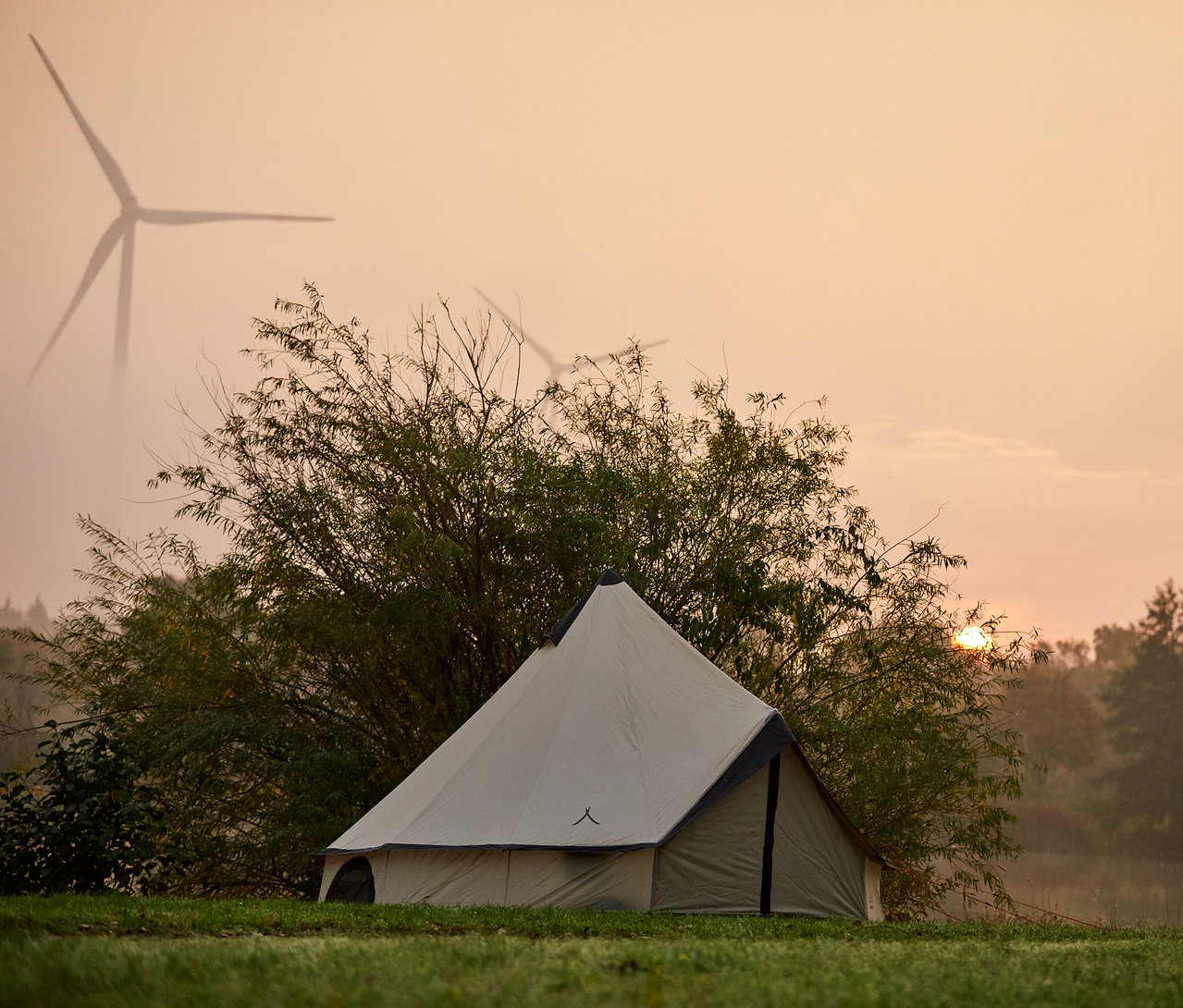 Ein Zelt steht auf einer Wiese, im Hintergrund Windräder im Morgenlicht.