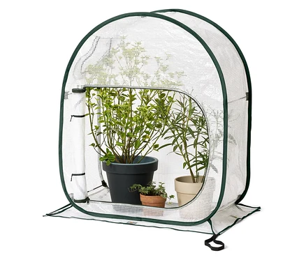 Pflanzen in Töpfen stehen in einem kleinen Gewächshaus mit grünem Rand und durchsichtiger Hülle.