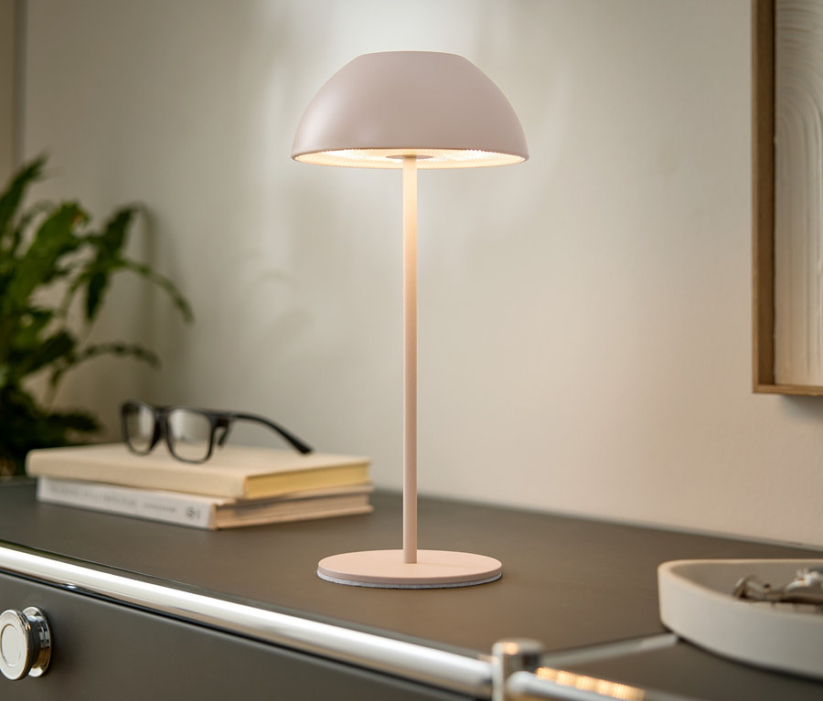 Auf einer Kommode stehen eine rosafarbene Lampe, Bücher und eine Brille. Eine Pflanze und ein gerahmtes Bild sind im Hintergrund zu sehen.