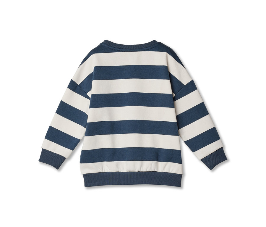 Rückenansicht eines langärmeligen Sweatshirts mit horizontalen dunkelblauen und cremefarbenen Streifen, mit gerippten Bündchen, Kragen und Saum.