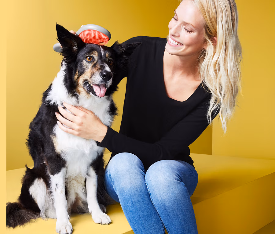 Frau bürstet Hund mit Tier-Fellbürste.