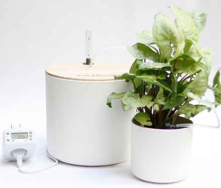 Automatische Blumentopfbewässerung neben Topfpflanze und Zeitschaltuhr.