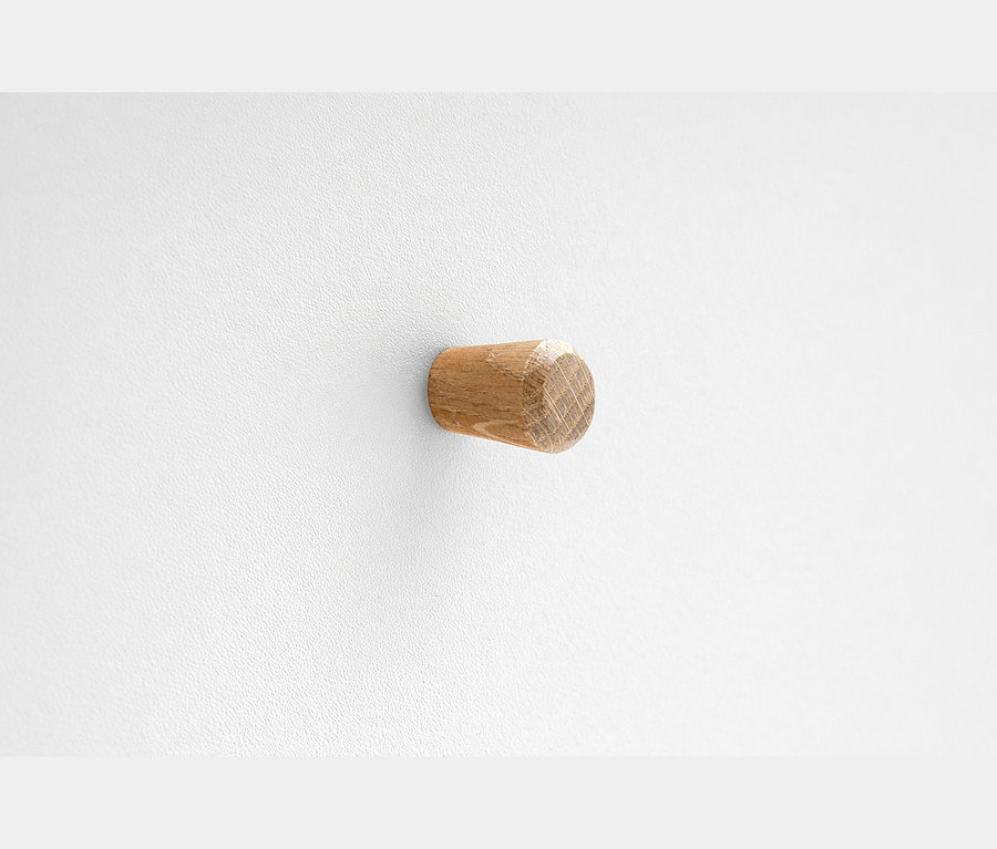 Ein hellbrauner Holzdübel, zylindrisch und leicht konisch zulaufend, ragt aus einer weißen strukturierten Wand.