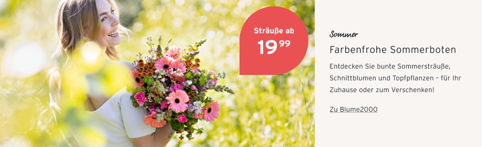 Blume2000 Sommer