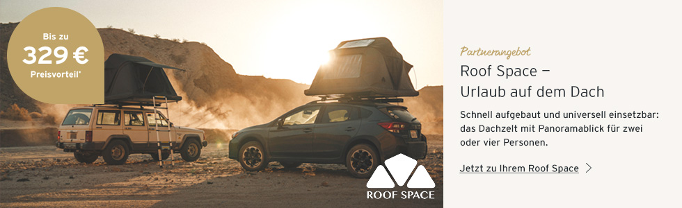 Roofspace
