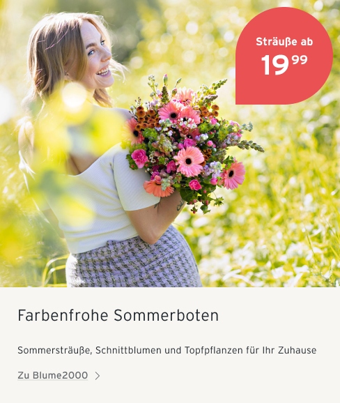 Blume2000 Sommer