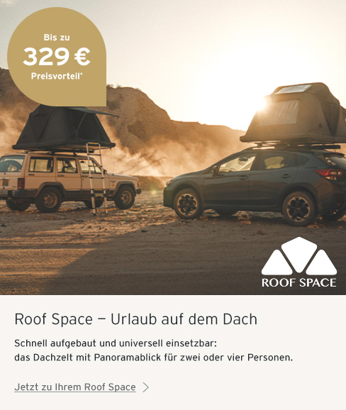 Roofspace
