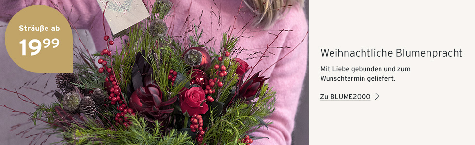 Tchibo Blume Adventssträuße