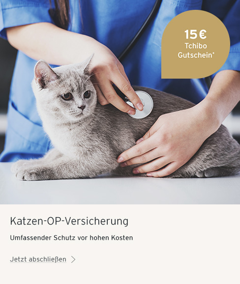 Katzen OP-Versicherung mit Tchibo Gutschein