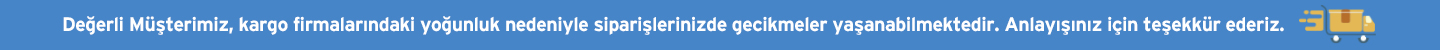 Kargo Gecikme
