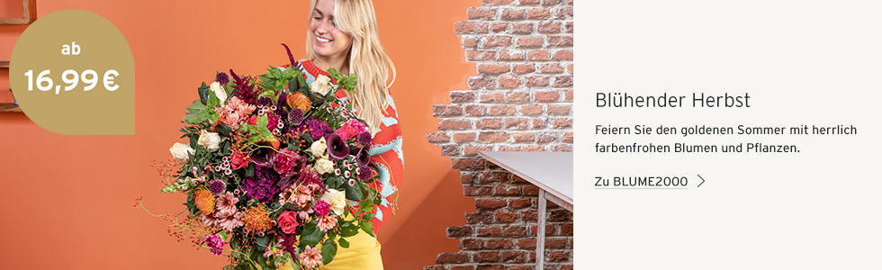 Farbenfrohe Pflanzen und Blumen bei Blume2000
