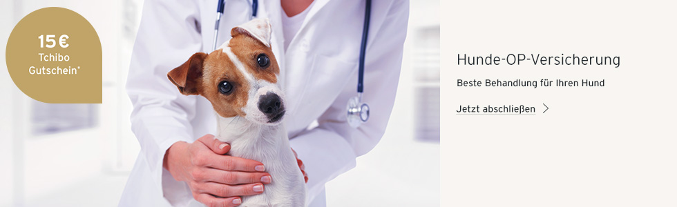 Hunde OP Tierversicherung