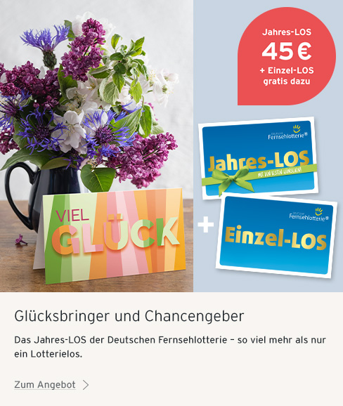 DFL Jahreslos Fernsehlotterie