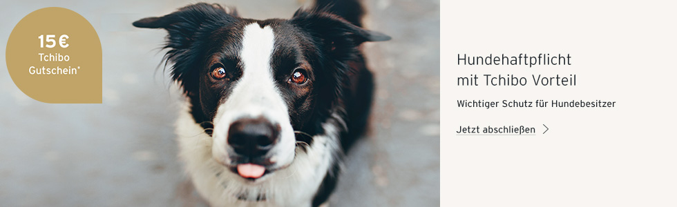 Hunde Haftpflichtversicherung Tierversicherung