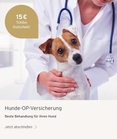 Hunde-OP-Versicherung