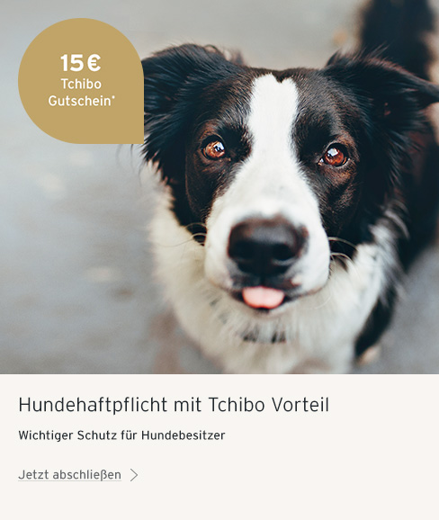 hundehpv