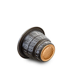 NEU: EDUSCHO Lungo Elegante