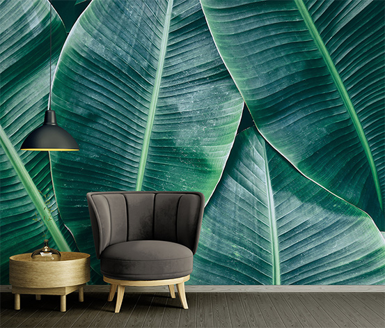 Designwalls-Fototapete »Banana Leaves« online bestellen