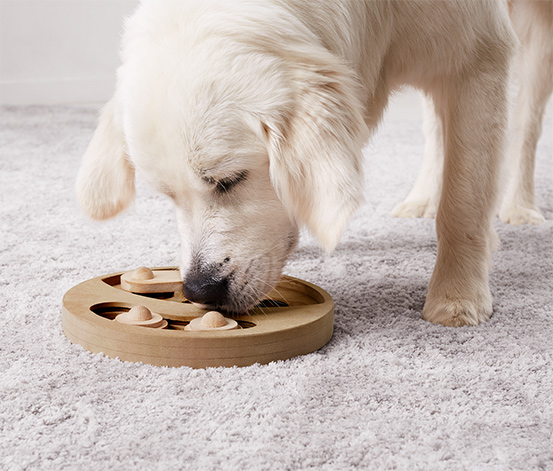 hunde zahnarzt in meiner nähe