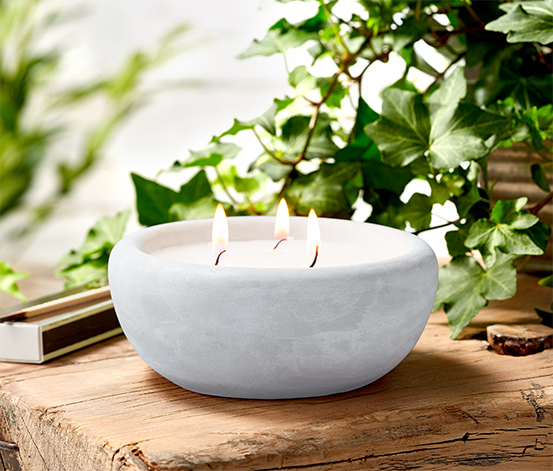 50 St/ück Premier BA073320 Citronella Teelichter Gelb