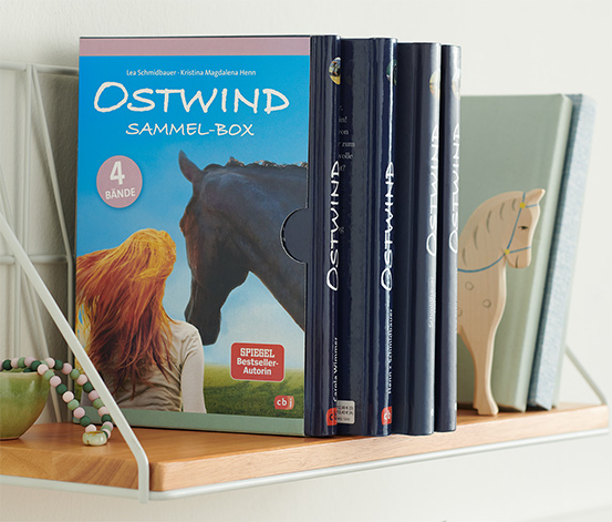Bücherbox »Ostwind« online bestellen