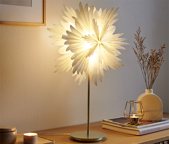 /newmedia/art_img/MAIN-CENSHARE/9e9a722e0efd53d3/led-dekoleuchte-stern.jpg