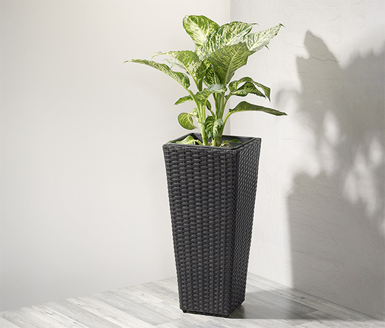 Pflanzsäule aus Polyrattan, Höhe ca. 60 cm, anthrazit