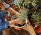 GARDENA Pflanzschale »ClickUp!«