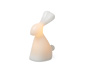 LED-Deko-Hase