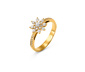 585 Gold-Ring mit 31 Brillanten, Stern