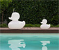 The DUCK-DUCK lamp™ XL