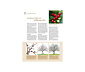 Buch »Das große GU Praxishandbuch – Pflanzenschnitt«