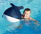Pool Buddy Wal